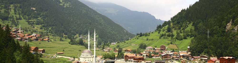 билеты на прямые рейсы в Трабзона