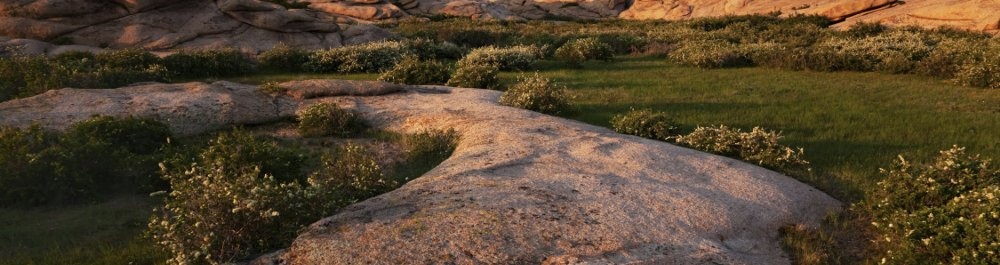 билеты на прямые рейсы в Усть-Каменогорск