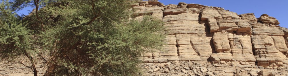 билеты на прямые рейсы в Иллизи