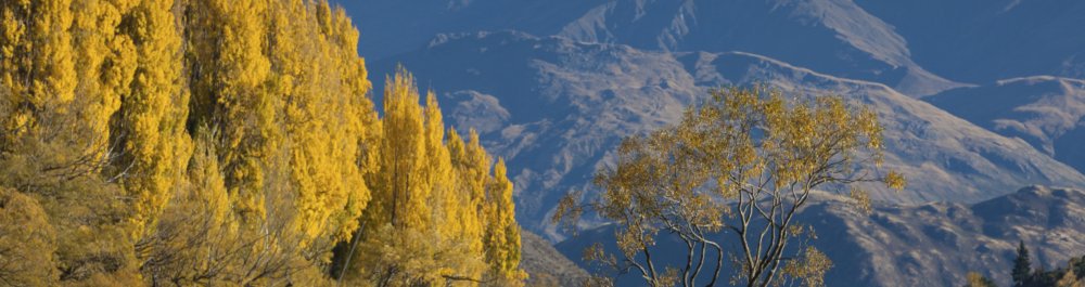 билеты на прямые рейсы в Ванаку