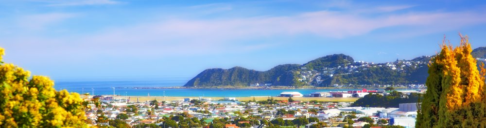 билеты на прямые рейсы в Веллингтон