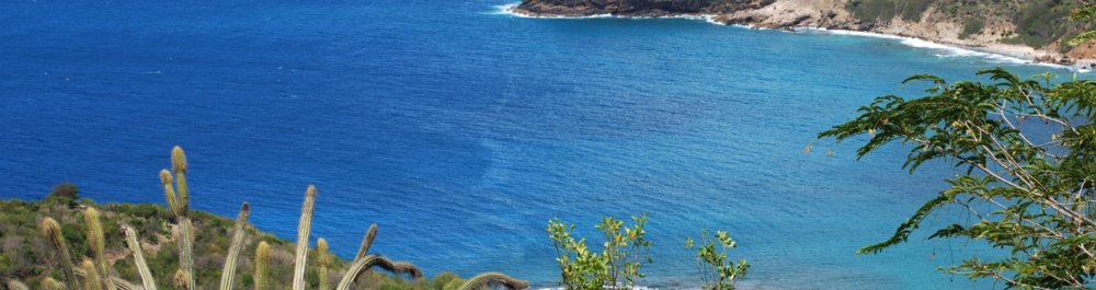 Авиабилеты в Антигуа и Барбуда цена