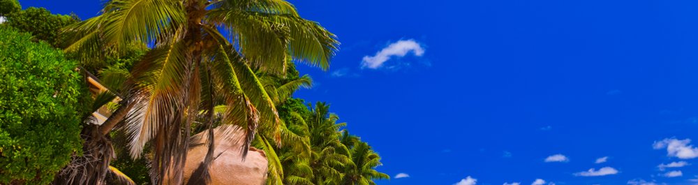 Авиабилеты в Ангилью цена