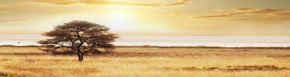 Авиабилеты в Бурунди цена