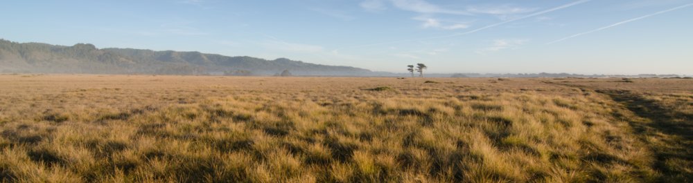 Авиабилеты в Конго цена