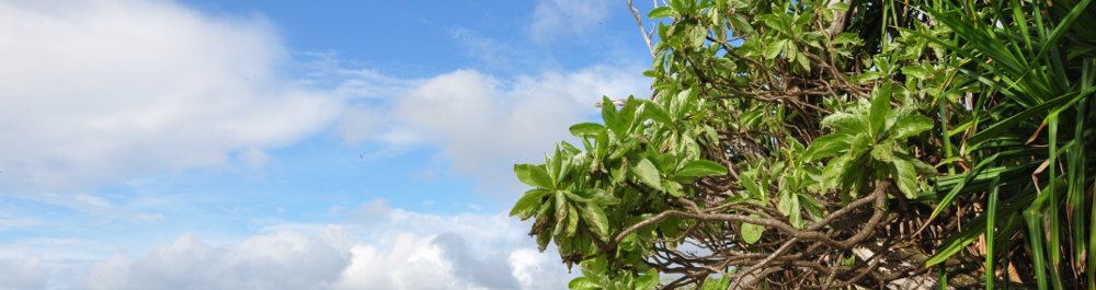 Авиабилеты в Остров Рождества цена