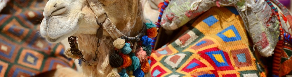 Авиабилеты в Алжир цена