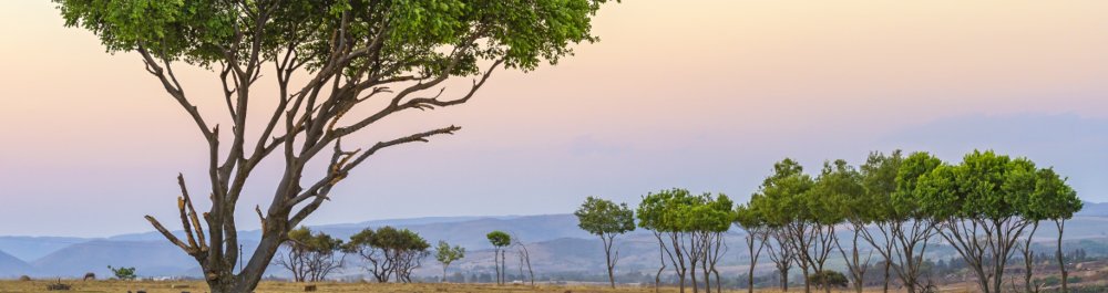 Авиабилеты в Гвинею-Биссау цена