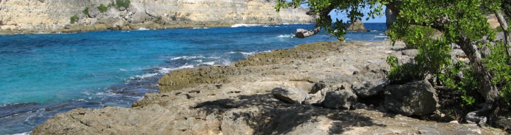 Авиабилеты в Гайану цена