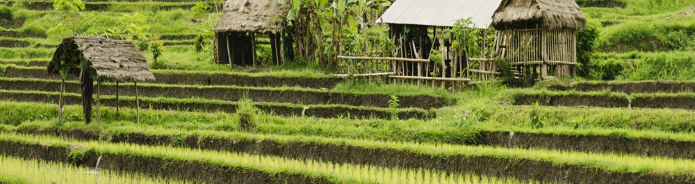 Авиабилеты в Индонезию цена