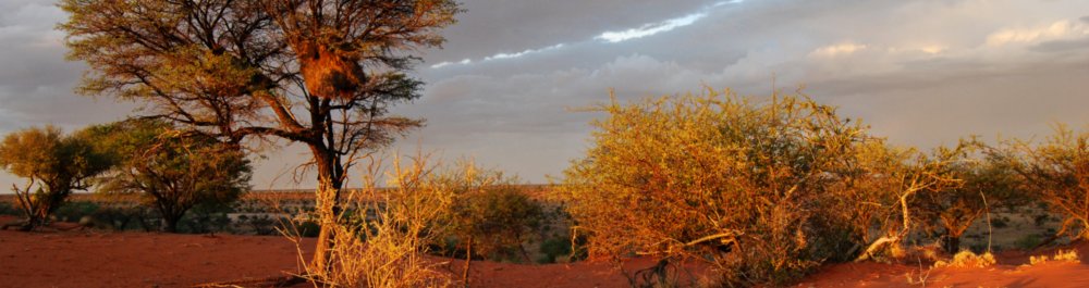 Авиабилеты в Либерию цена