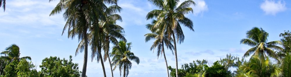 Авиабилеты в Северные Марианские острова цена