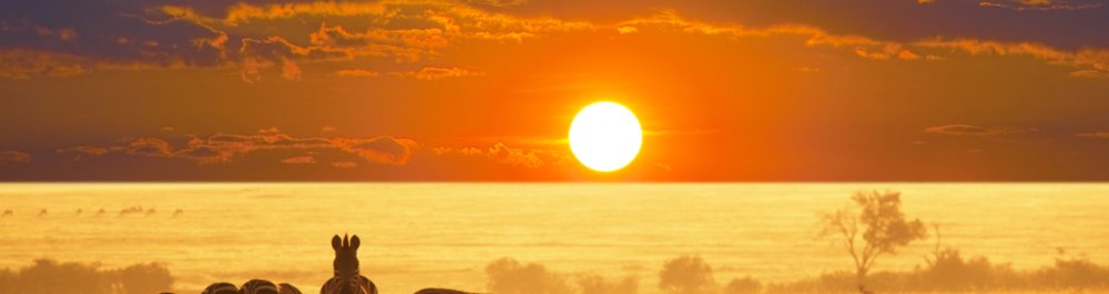 Авиабилеты в Намибию цена