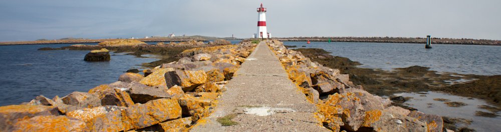 Авиабилеты в Сент-Пьер и Микелон цена