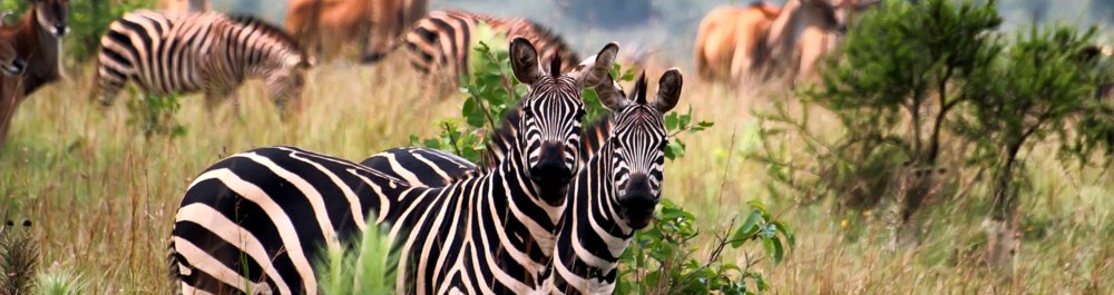 Авиабилеты в Руанду цена