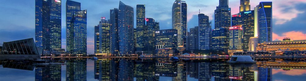 Авиабилеты в Сингапур цена