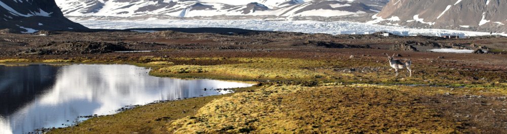 Авиабилеты в Шпицбергена и Яна Майен цена