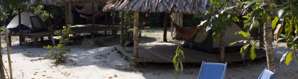 Авиабилеты в Суринам цена