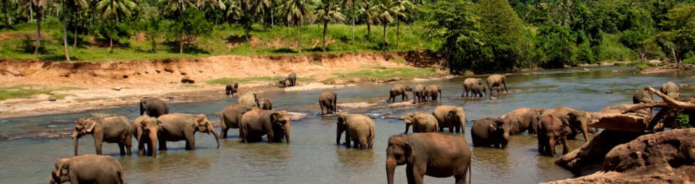 Авиабилеты в Чад цена