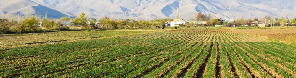 Авиабилеты в Таджикистан цена