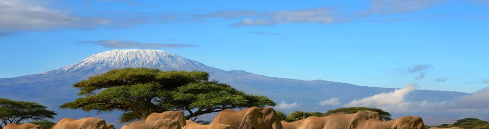 Авиабилеты в Танзанию цена