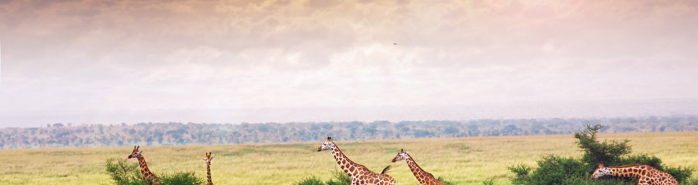 Авиабилеты в Уганду цена