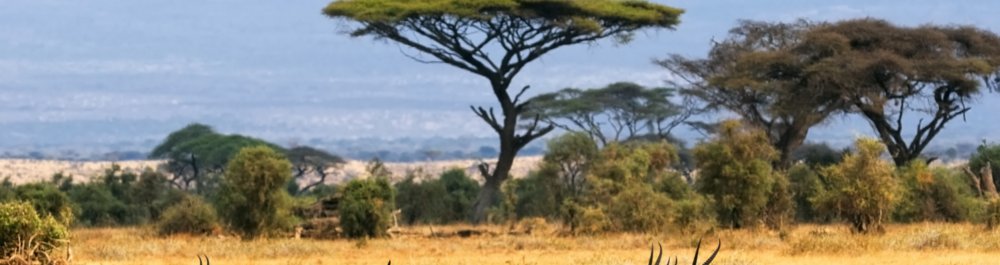 Авиабилеты в ЮАР цена